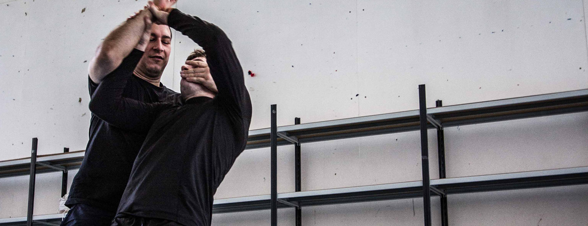 Cercle de Systema